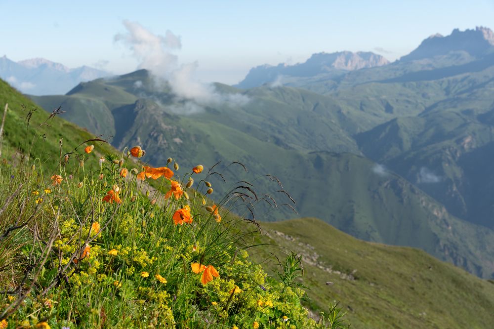 Фотография автора Олег Кожухов