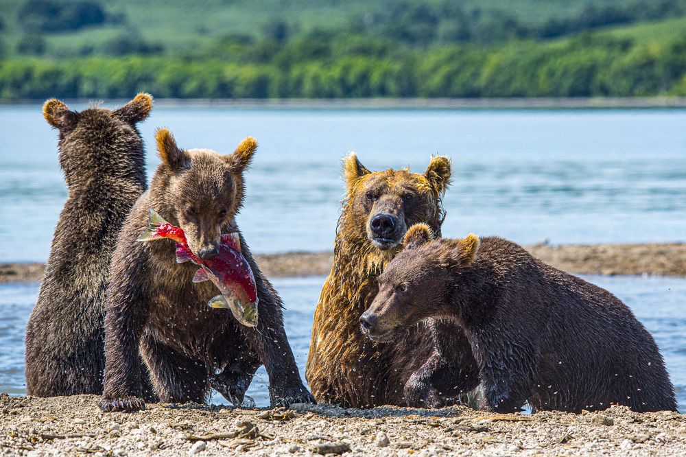 Photograph by Алексей Шаскольский