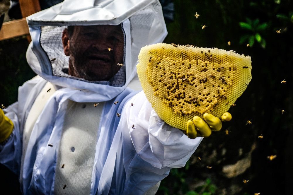 Photograph by Descartes Junior