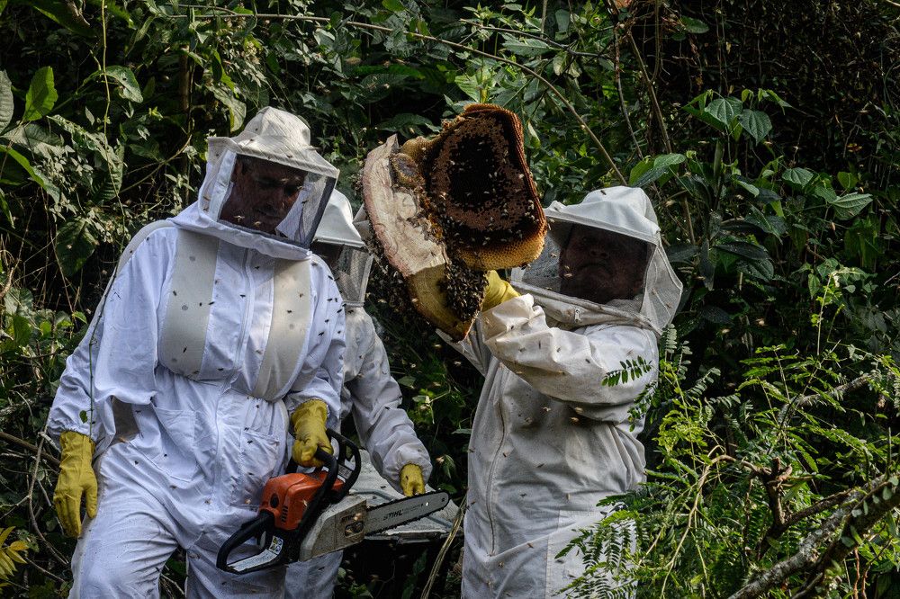 Photograph by Descartes Junior