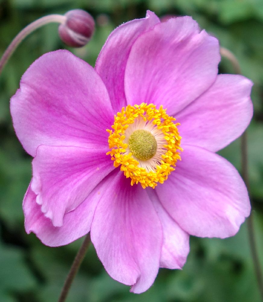 Photograph by IRINA KORNEVA