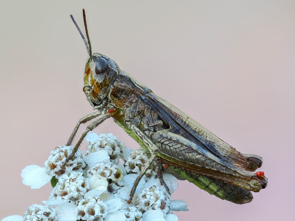 Photograph by Глеб Коровко