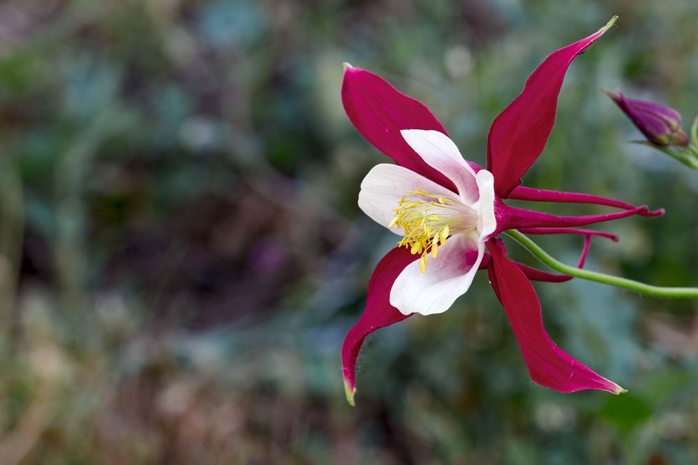 Photograph by Сергей Кириллов