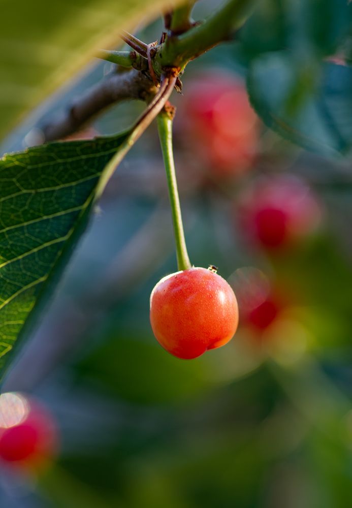 Photograph by Сергей Кириллов