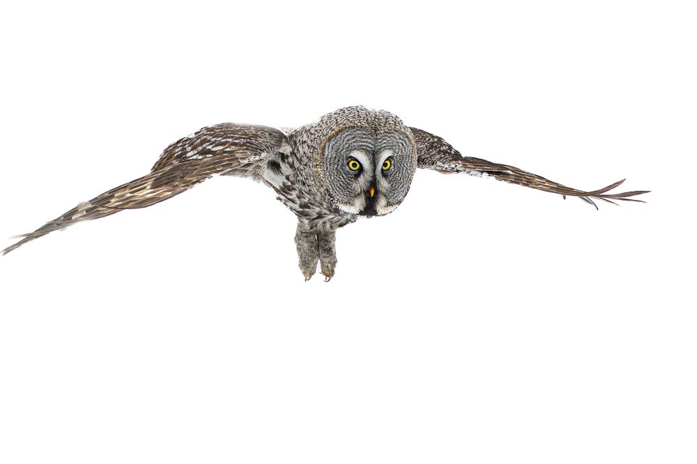 Photograph by Светлана Барабанщикова