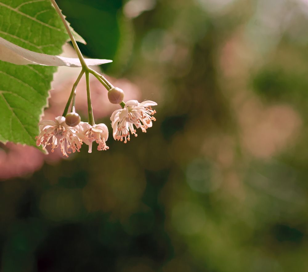 Photograph by Сергей Кириллов