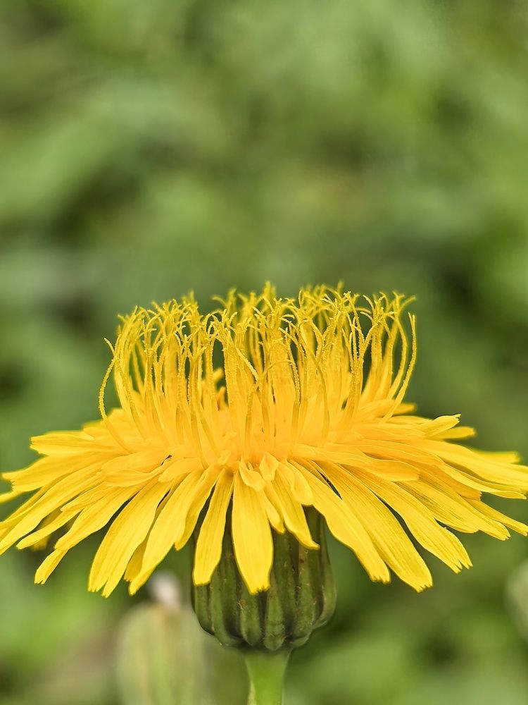 Photograph by Анна Зорька