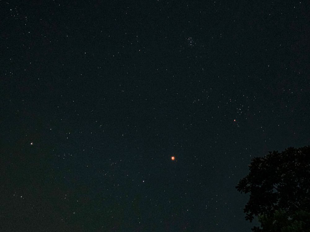 Photograph by Shouvik Biswas