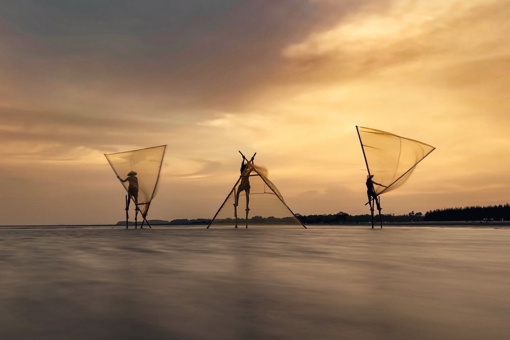 Photograph by Sayan Bose