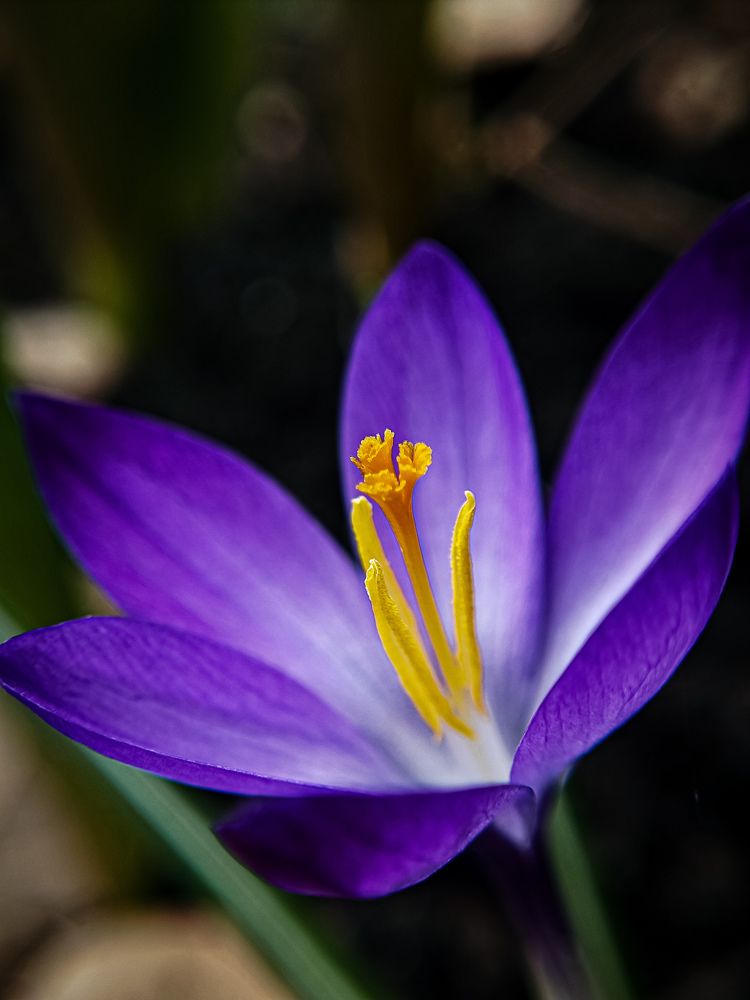 Photograph by Светлана Фоменко