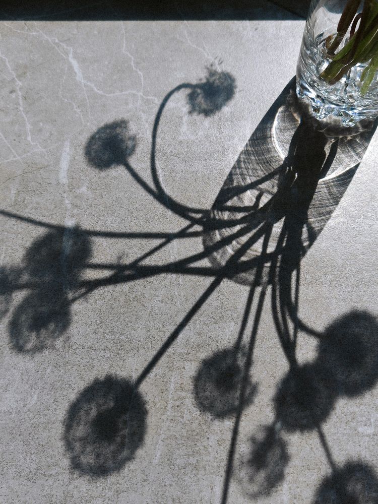 Photograph by Maria Stankevich