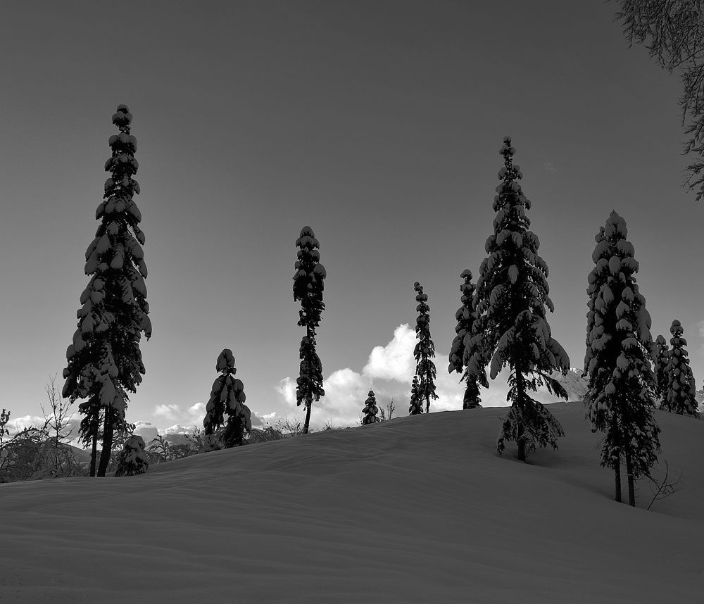 Photograph by Марина