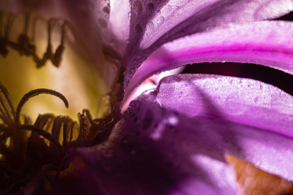 Photograph by Виктор Саврей