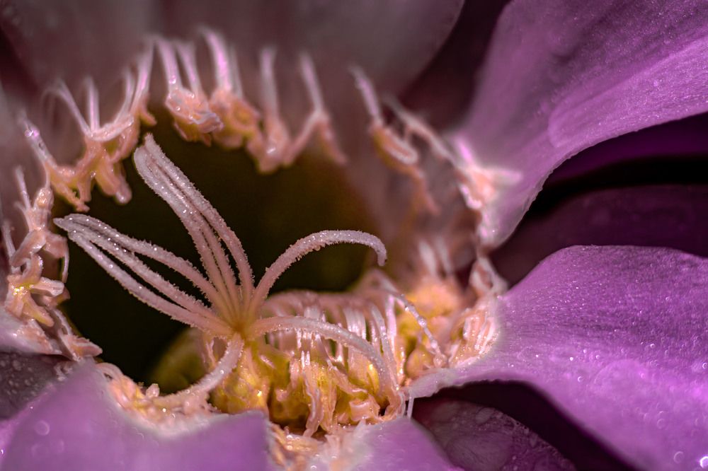 Photograph by Виктор Саврей