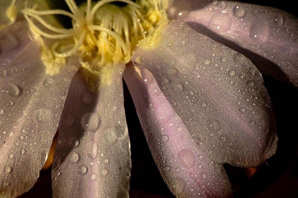 Photograph by Виктор Саврей