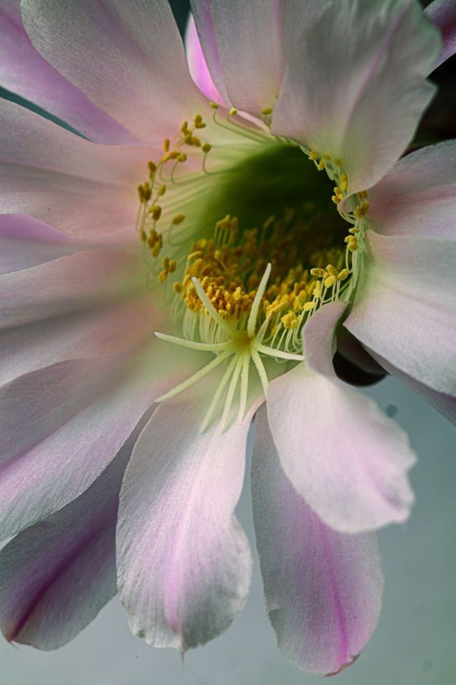 Photograph by Виктор Саврей