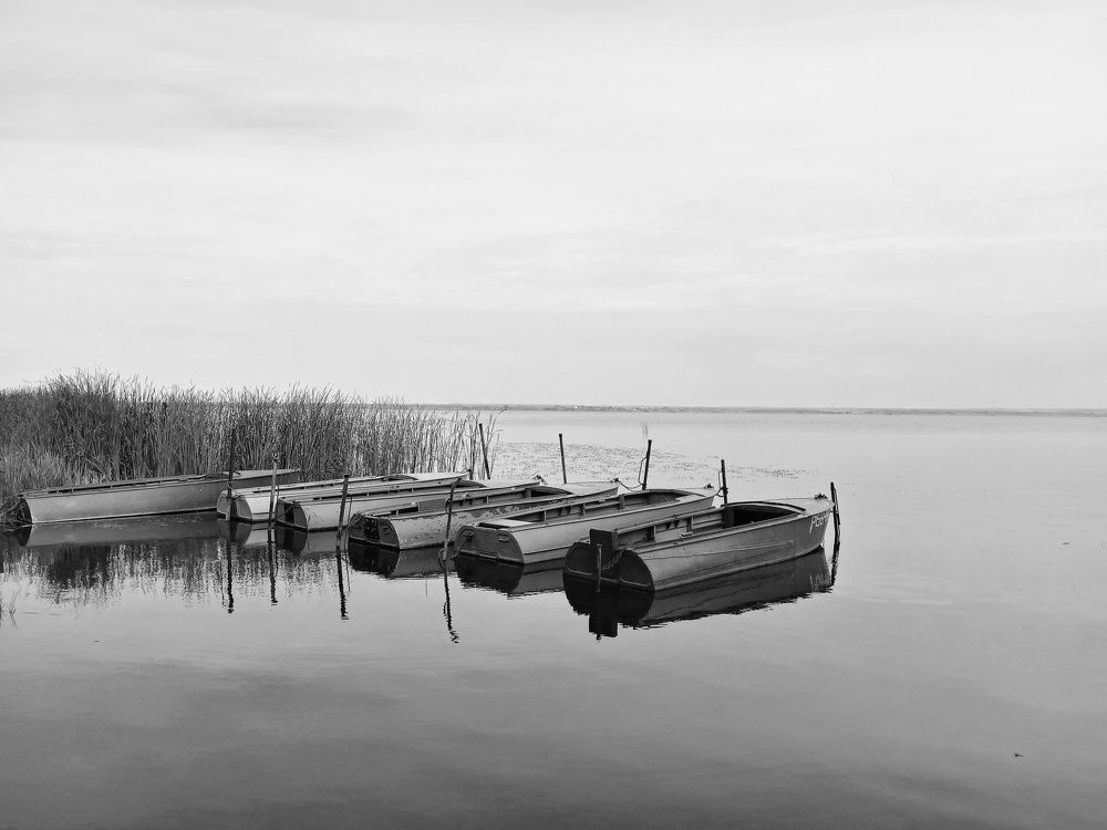 Photograph by Марина