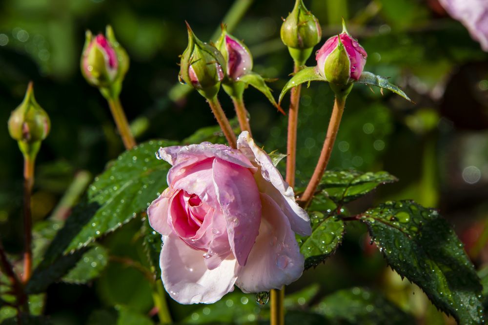 Photograph by Дмитрий Юдин