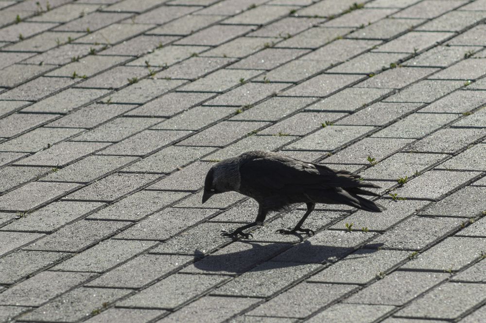 Photograph by Светлана Тарханова