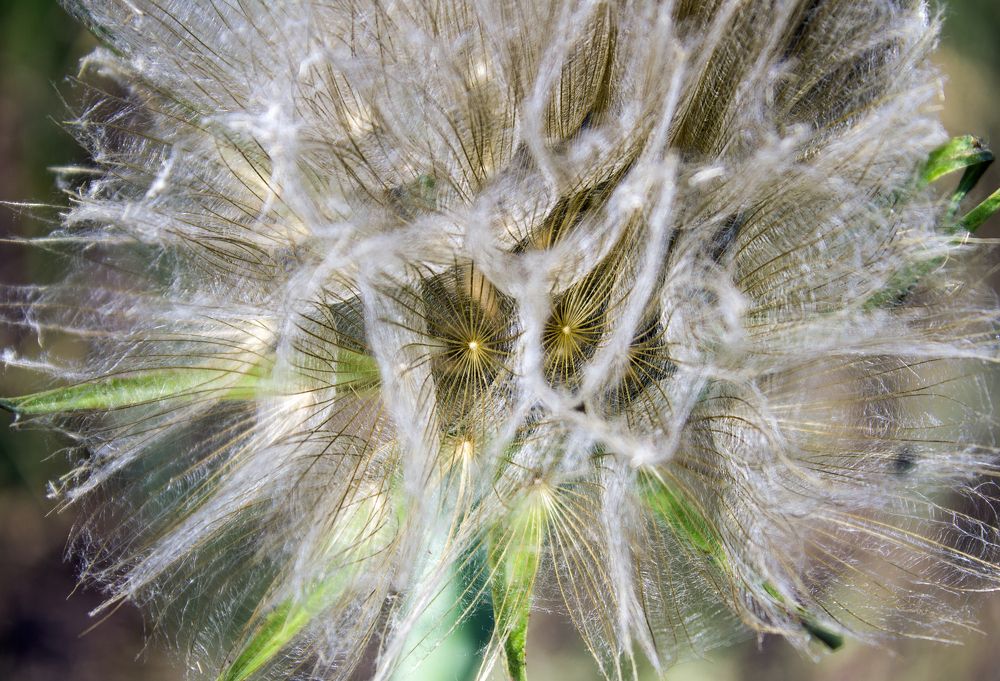 Photograph by Анна Евдокименко