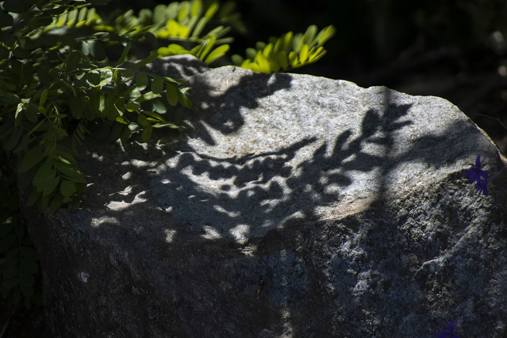 Photograph by Ирина Шибитова