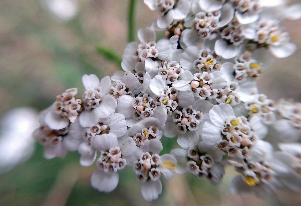 Photograph by Анна Евдокименко