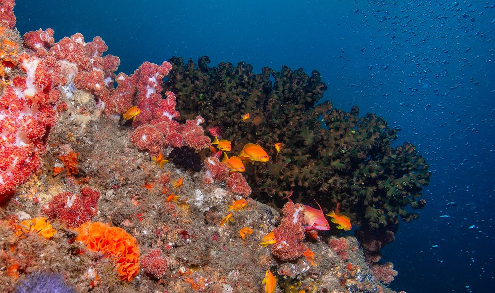 Photograph by Breanna J Marshall