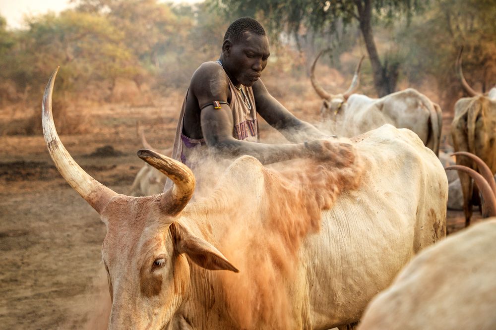 Photograph by Jurica Galic