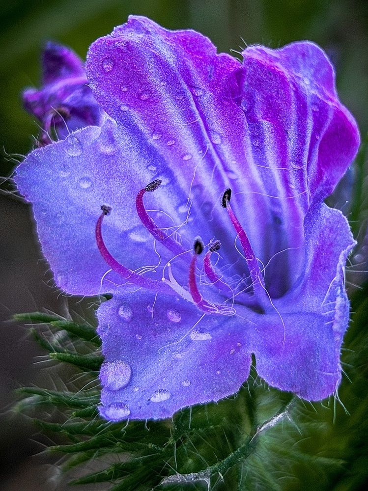 Photograph by Светлана Широкова