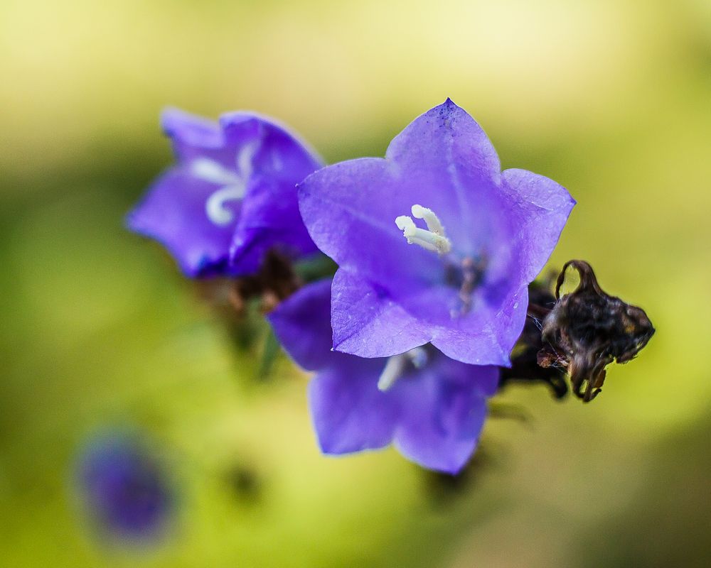 Photograph by Алексей Трифонов