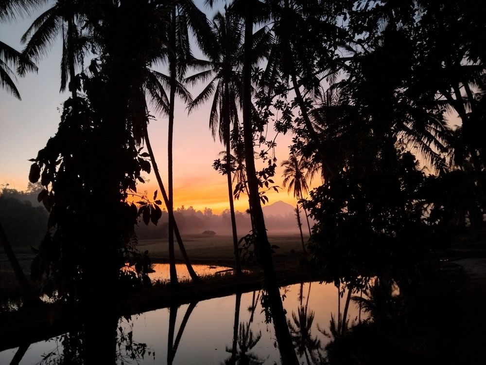 Cronicle to Paridise