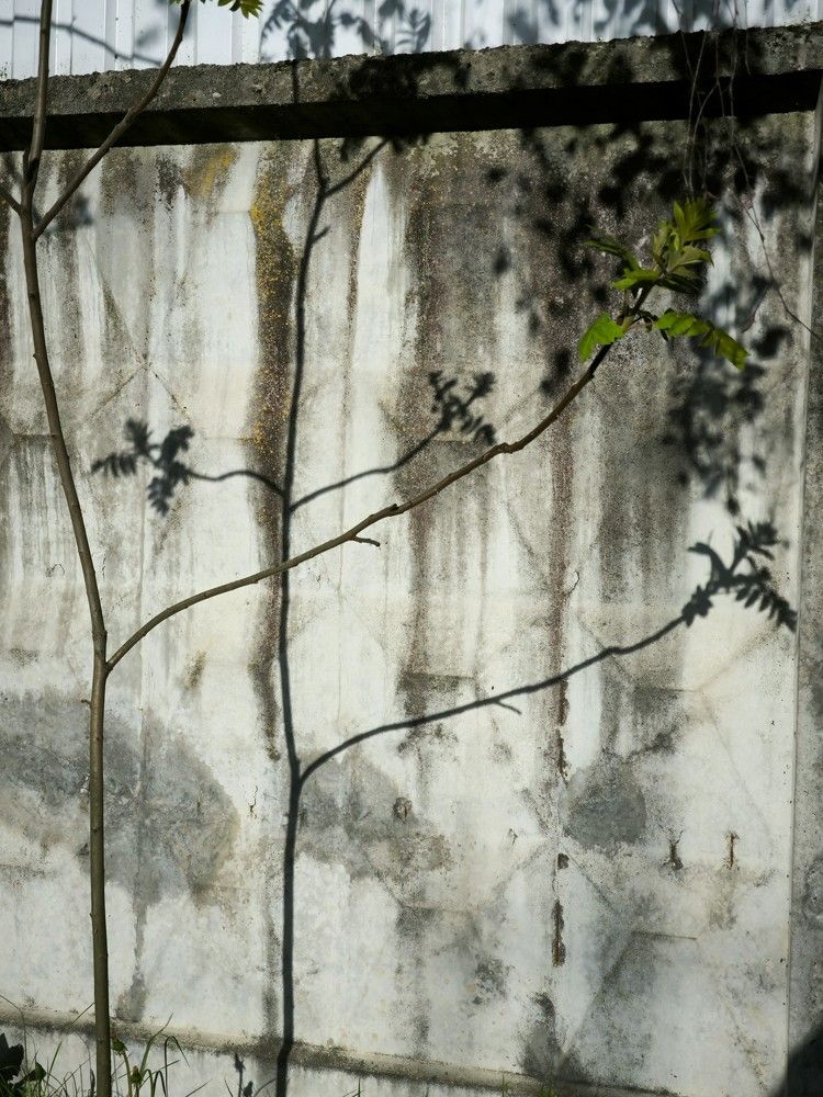 Photograph by Татьяна Яцкевич