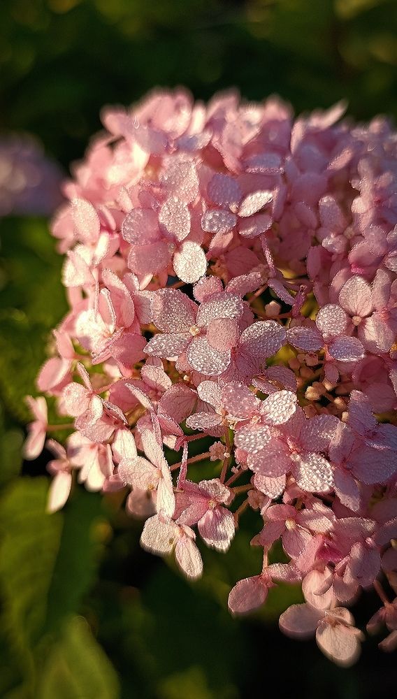 Photograph by Ксения Кравец