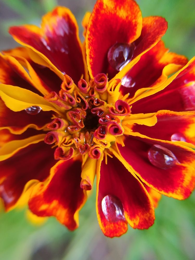 Photograph by Оксана Артимович