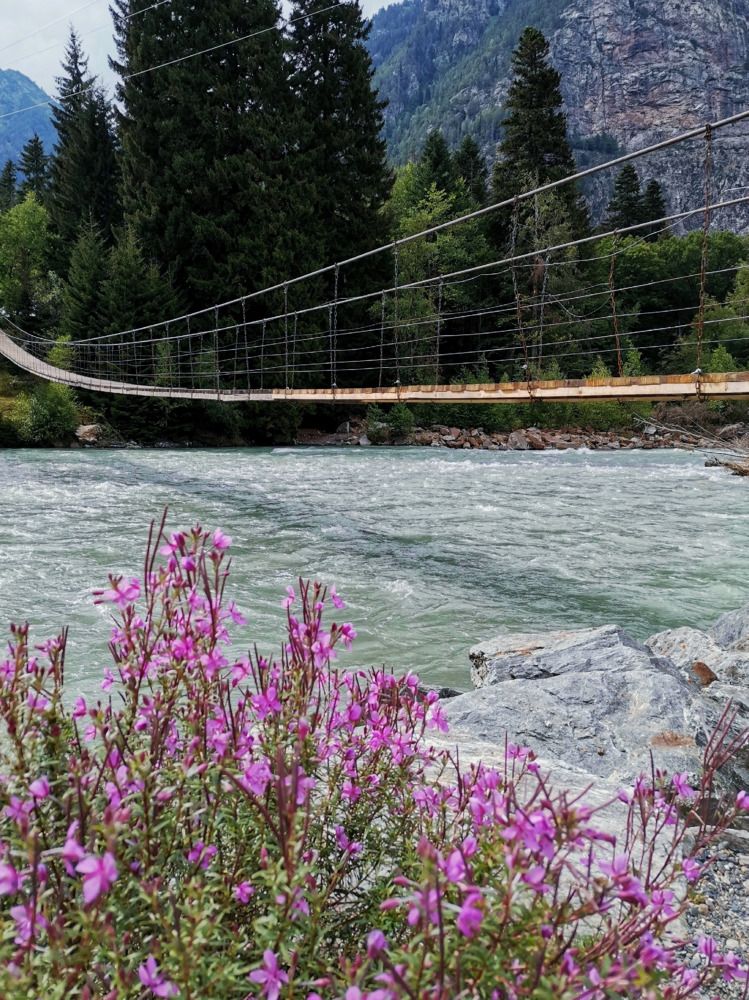 Photograph by Кристина Сысоева