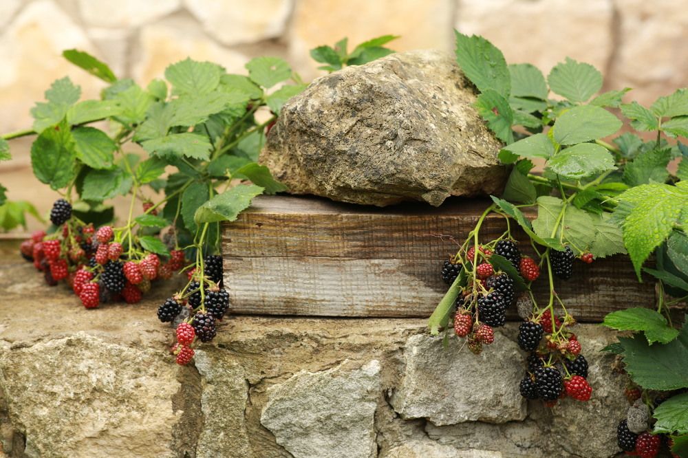 Photograph by Марина Юрченко