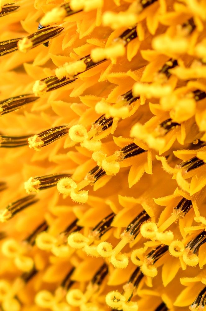 Photograph by Сергей Жиркевич