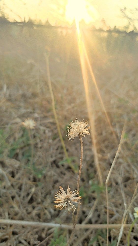 Photo #10936056