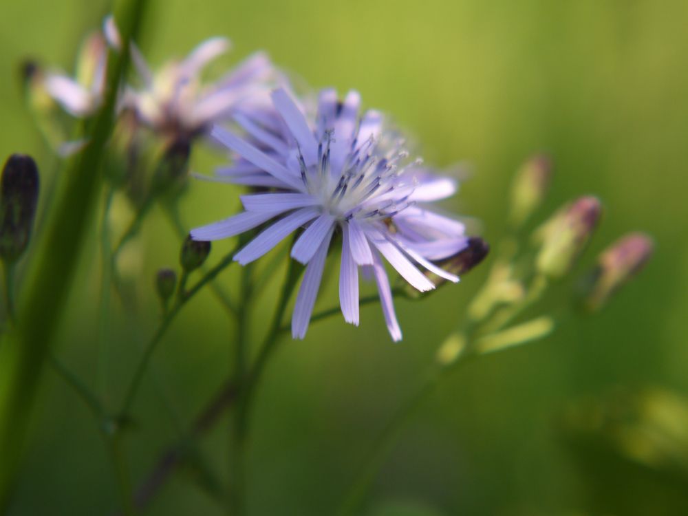 Photograph by Баженова Наталья