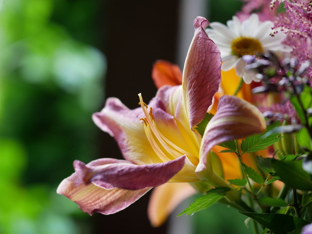 Photograph by Наталья