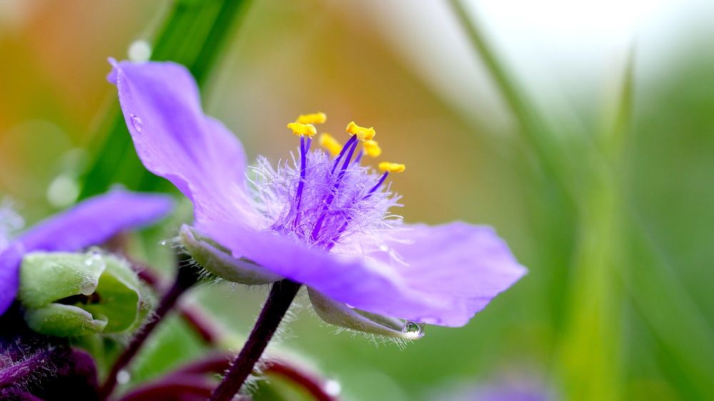 Photograph by Наталья