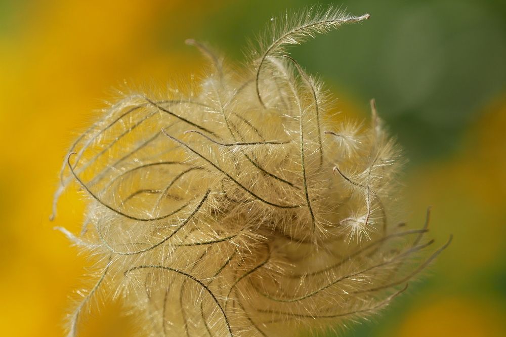 Photograph by Наталья