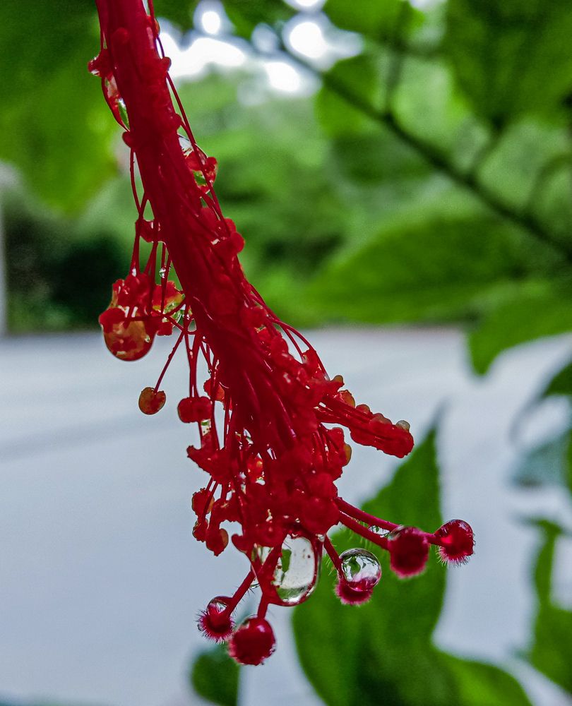 Photograph by Kishan Upadhyay