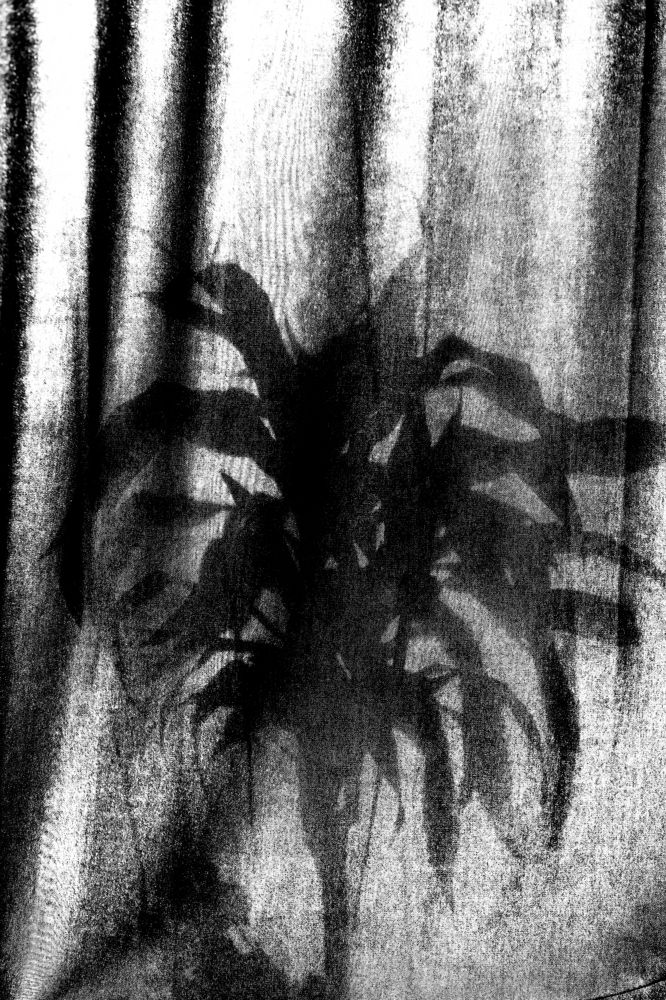 Photograph by Сергей Белокуров