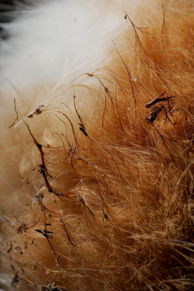 Photograph by Владимир Лобанов