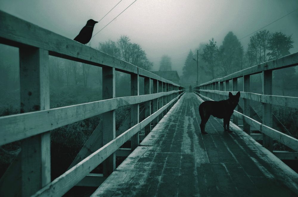 Photograph by Сергей