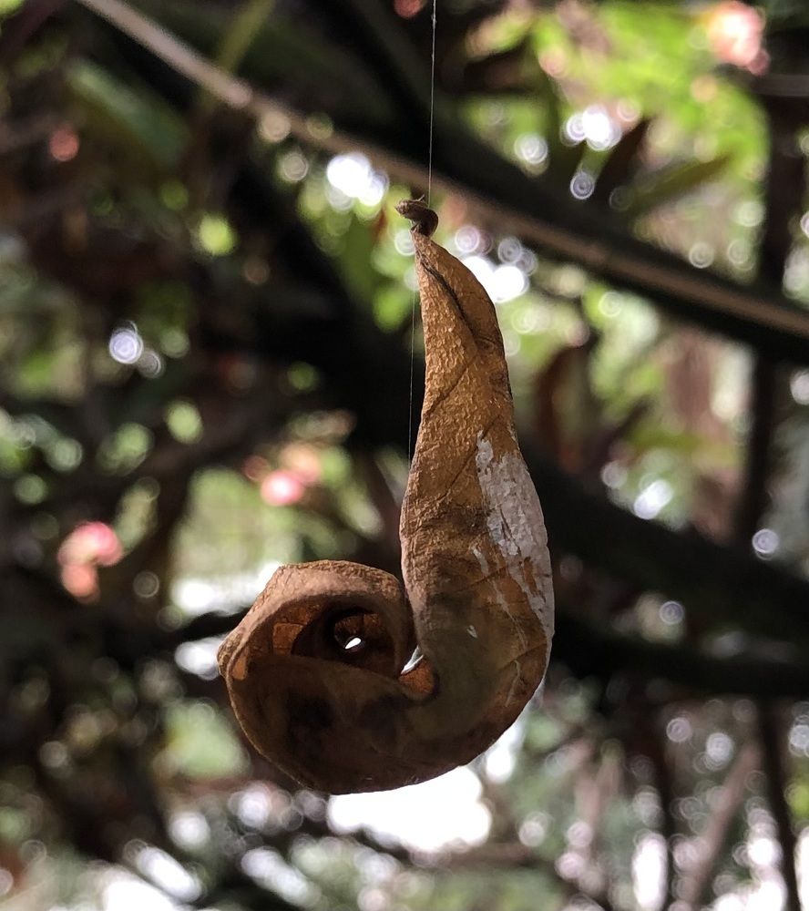 Photograph by Tina Domingos