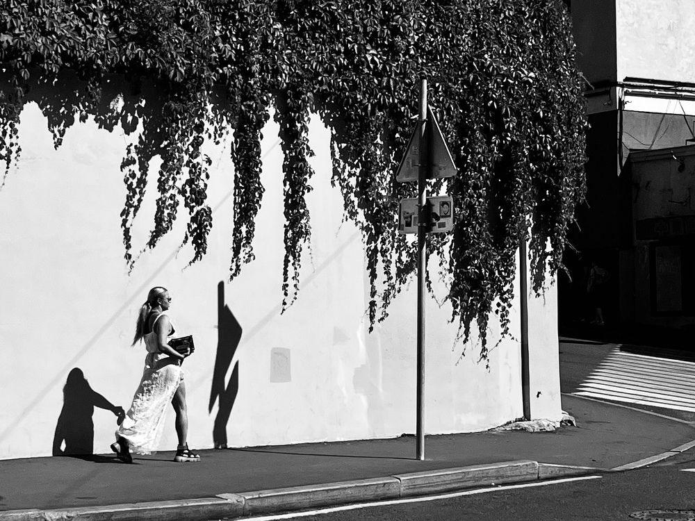 Фотография автора Юлия Яшина