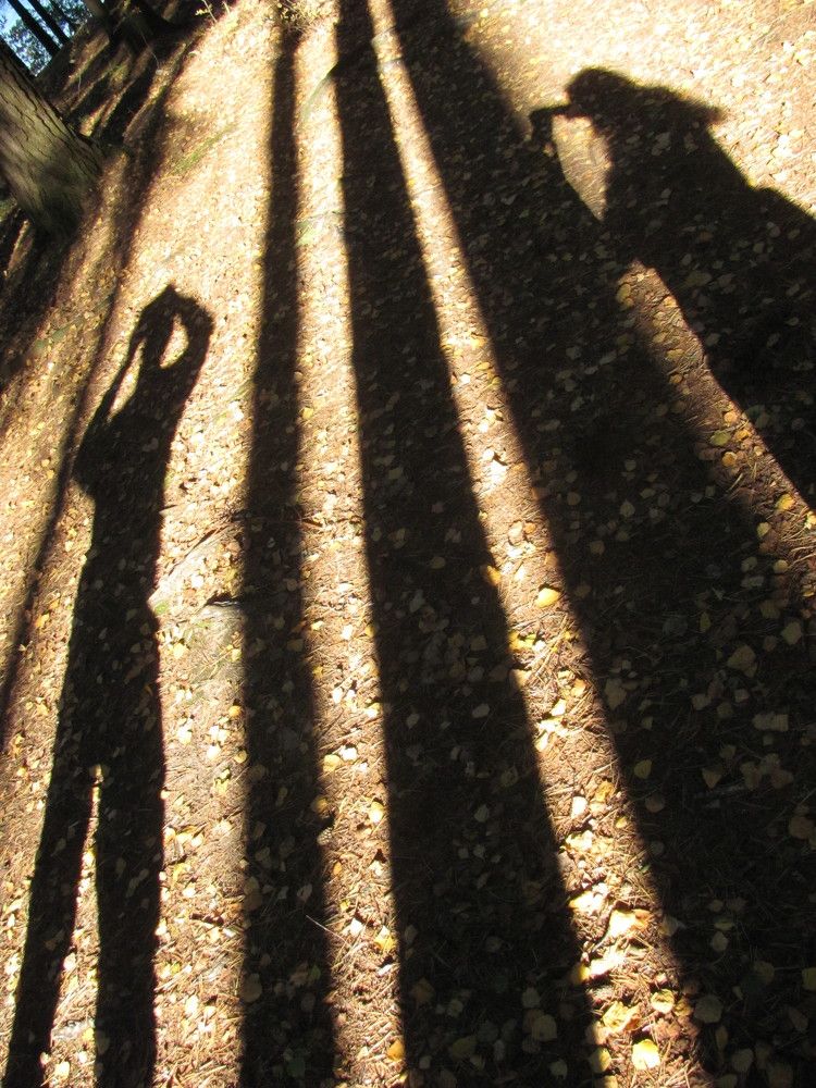 Photograph by Юлия