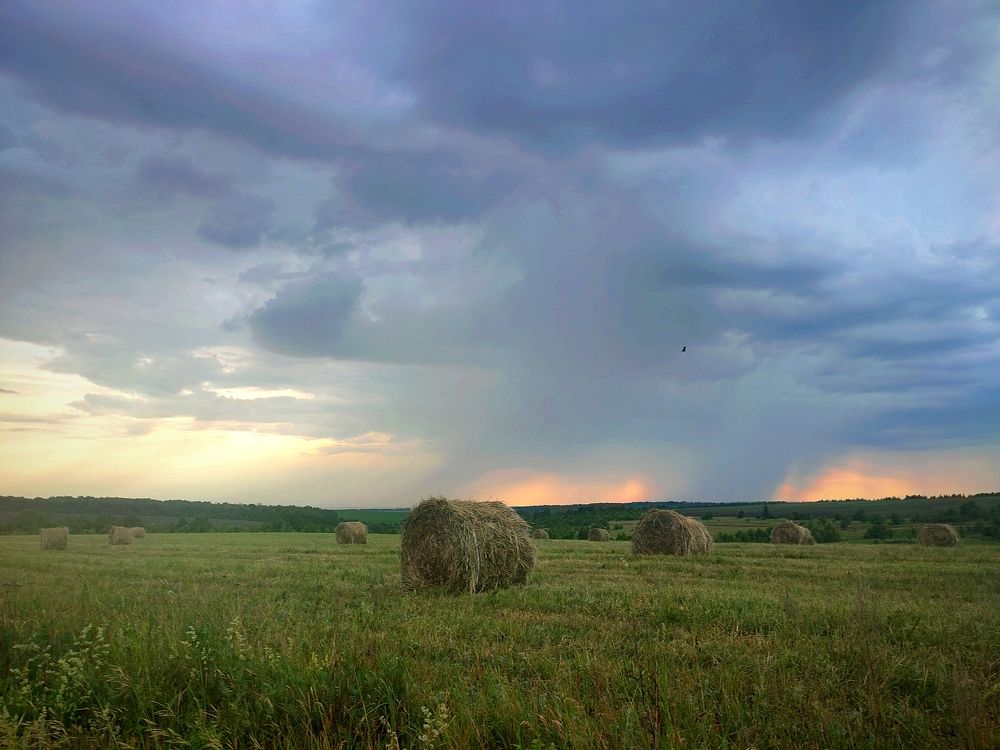 Photograph by Марина